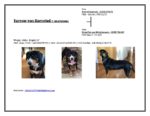 todi for EBF web